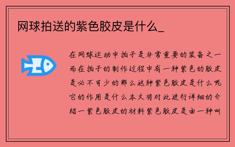 网球拍送的紫色胶皮是什么_