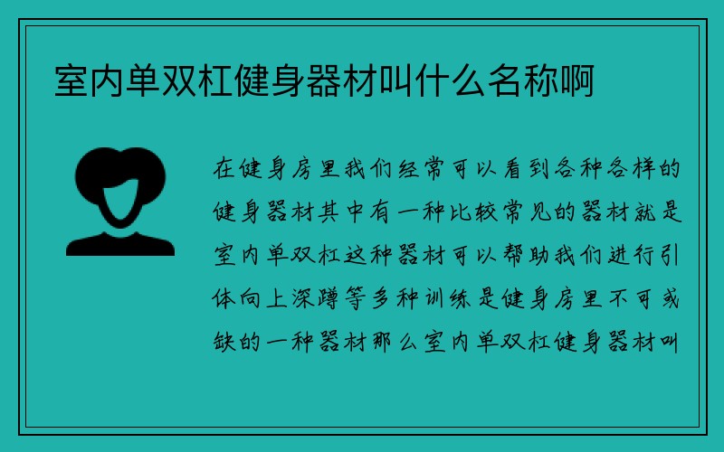 室内单双杠健身器材叫什么名称啊