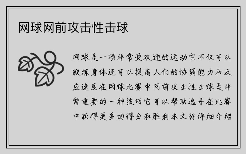 网球网前攻击性击球