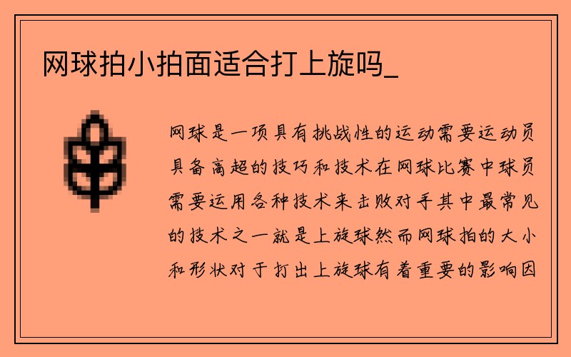 网球拍小拍面适合打上旋吗_