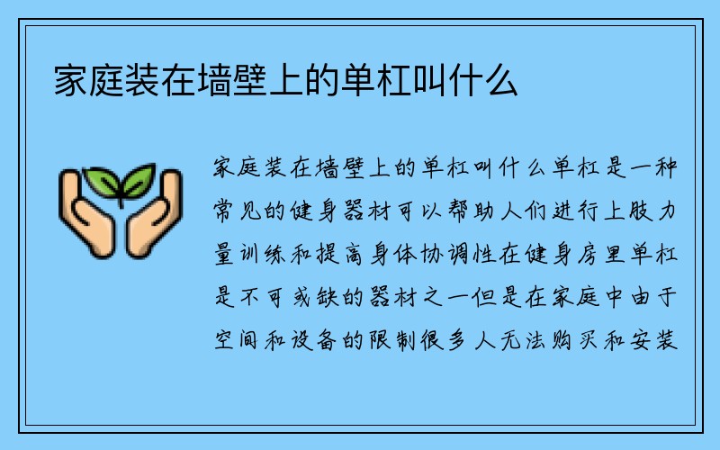 家庭装在墙壁上的单杠叫什么